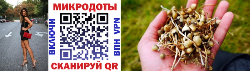 Галлюциногенные грибы ЛСД  Краснознаменск 