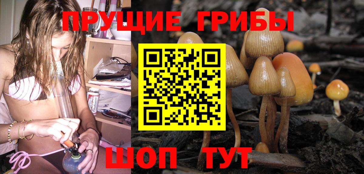 Краснознаменск  Галлюциногенные грибы мицелий  Вход с VPN  Псилоцибиновые грибы Psilocybe 